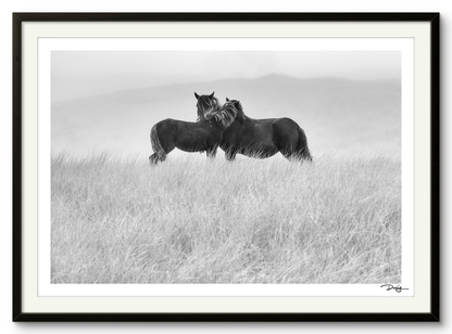 Embrace on the Dunes