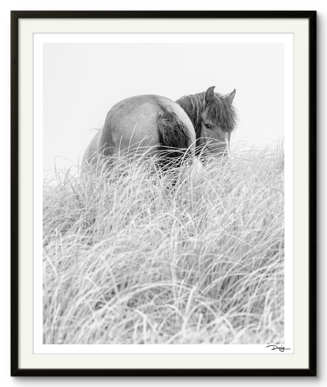 Solitude in the Grasses