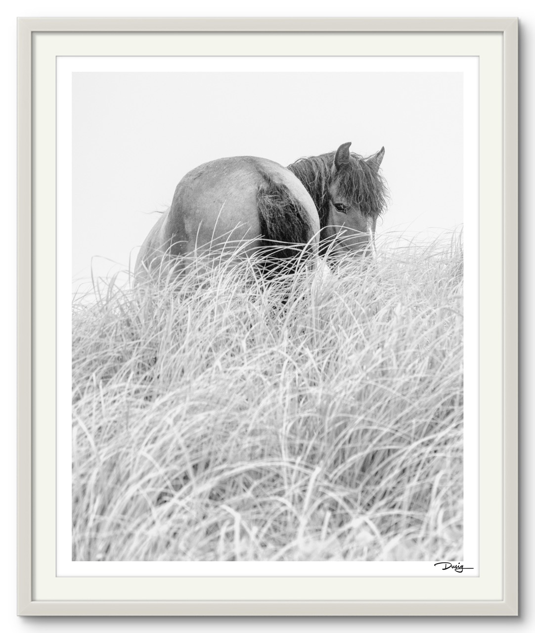 Solitude in the Grasses