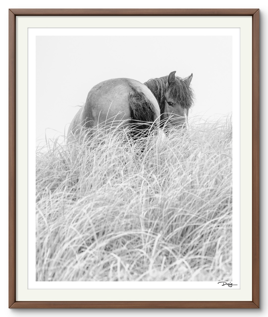 Solitude in the Grasses