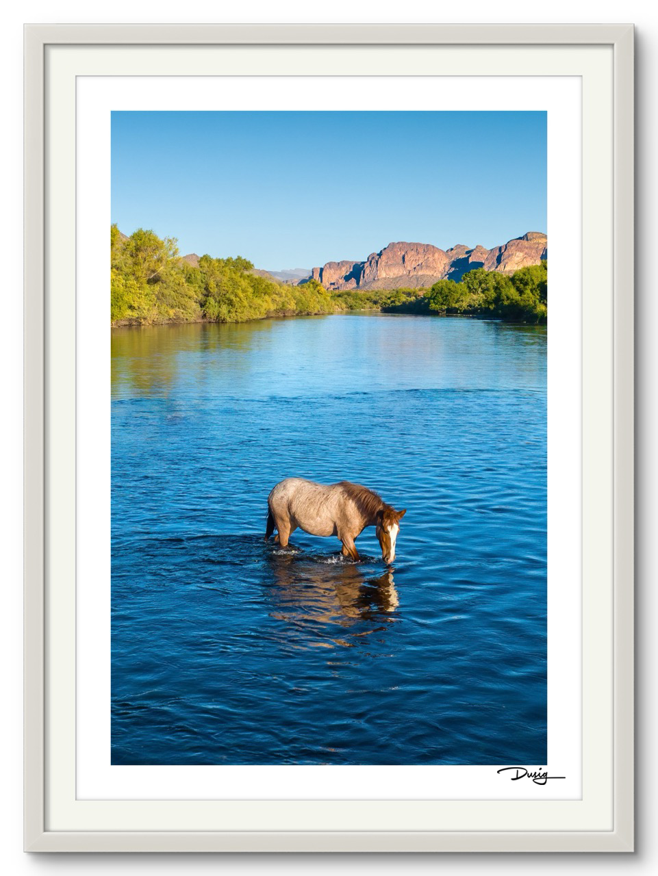 TEST -- A Lone Mustang’s Tranquil Moment (Copy)